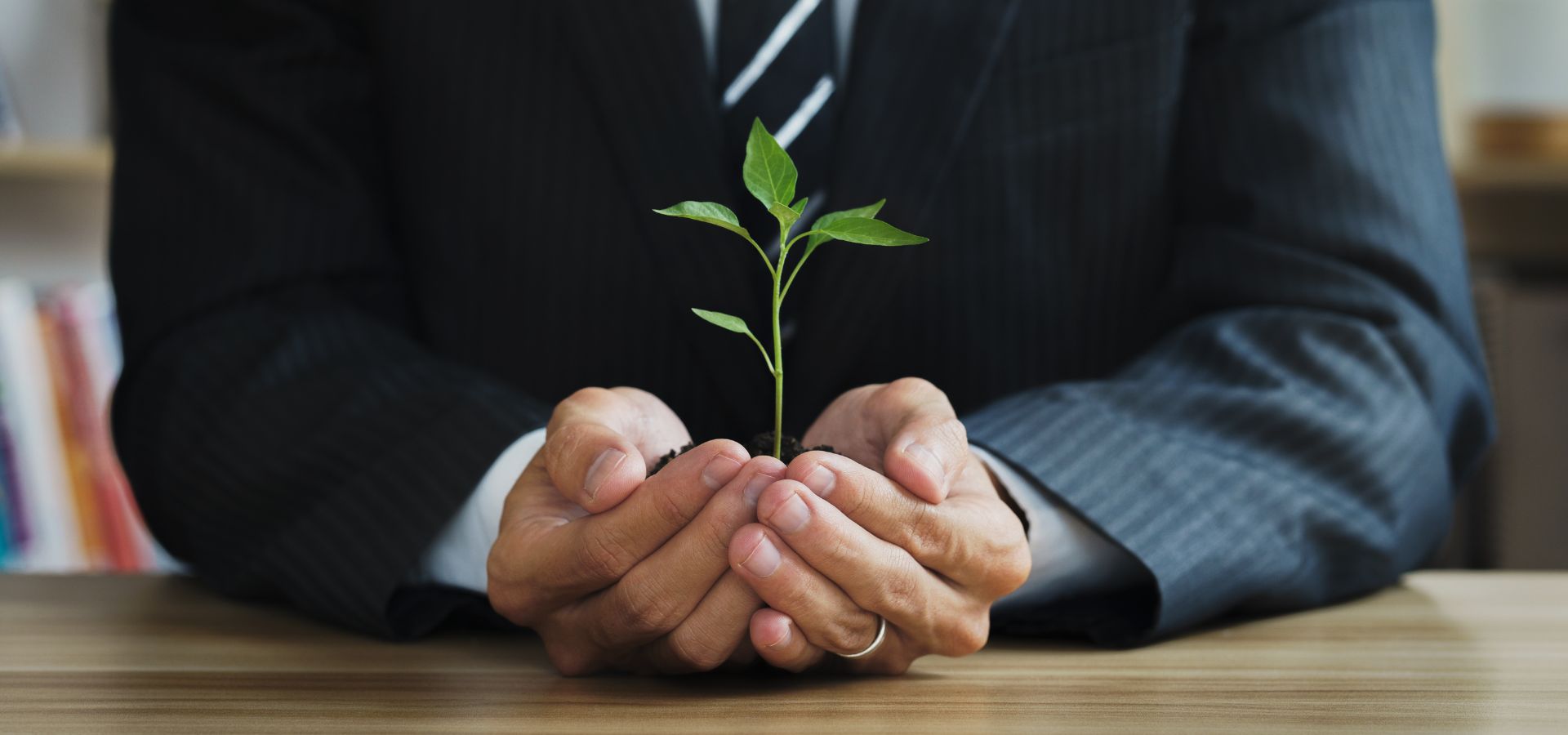 Importância do CFO e a sustentabilidade corporativa.